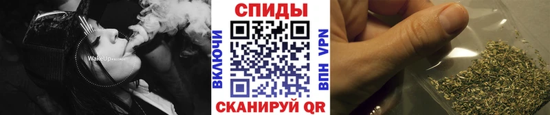 как найти   Асино  Бутират Butirat 