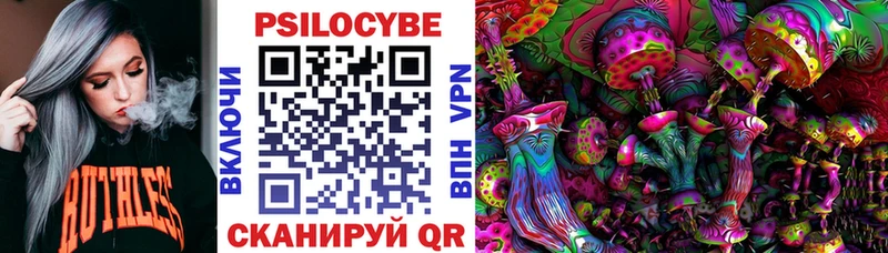 ссылка на мегу онион  продажа наркотиков  Асино  Псилоцибиновые грибы мухоморы 