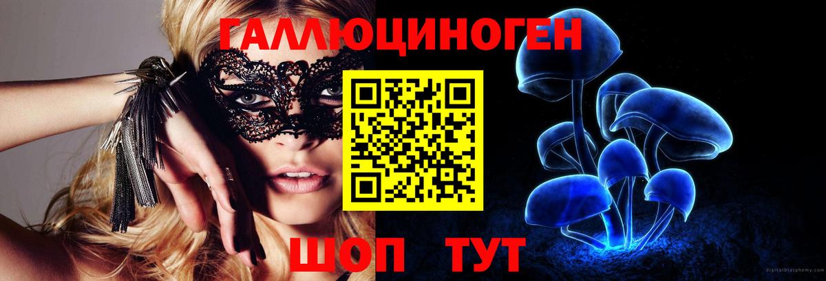 Асино  Галлюциногенные грибы ЛСД  Вход с VPN 